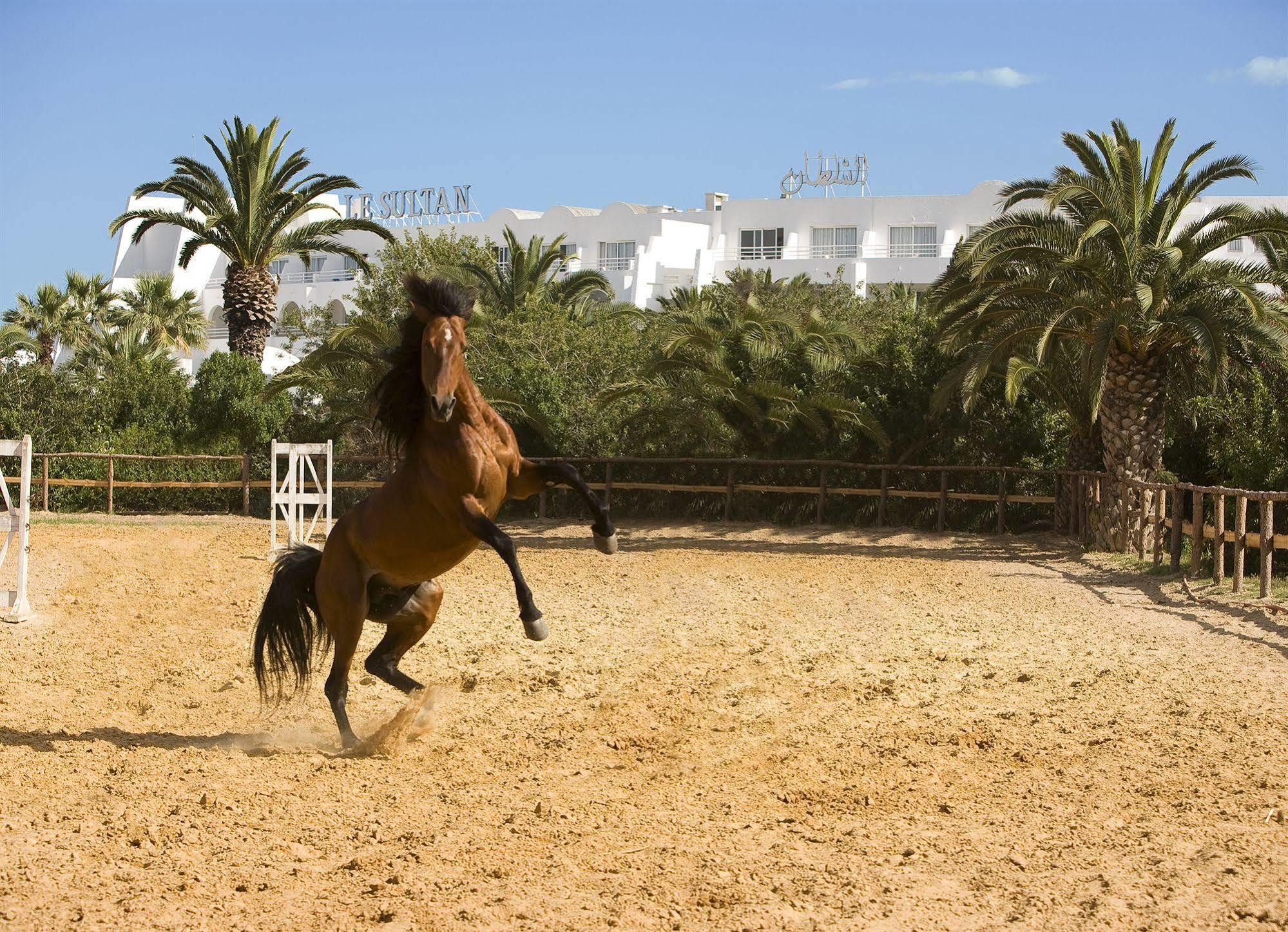 Hotel Le Sultan Hammamet Esterno foto