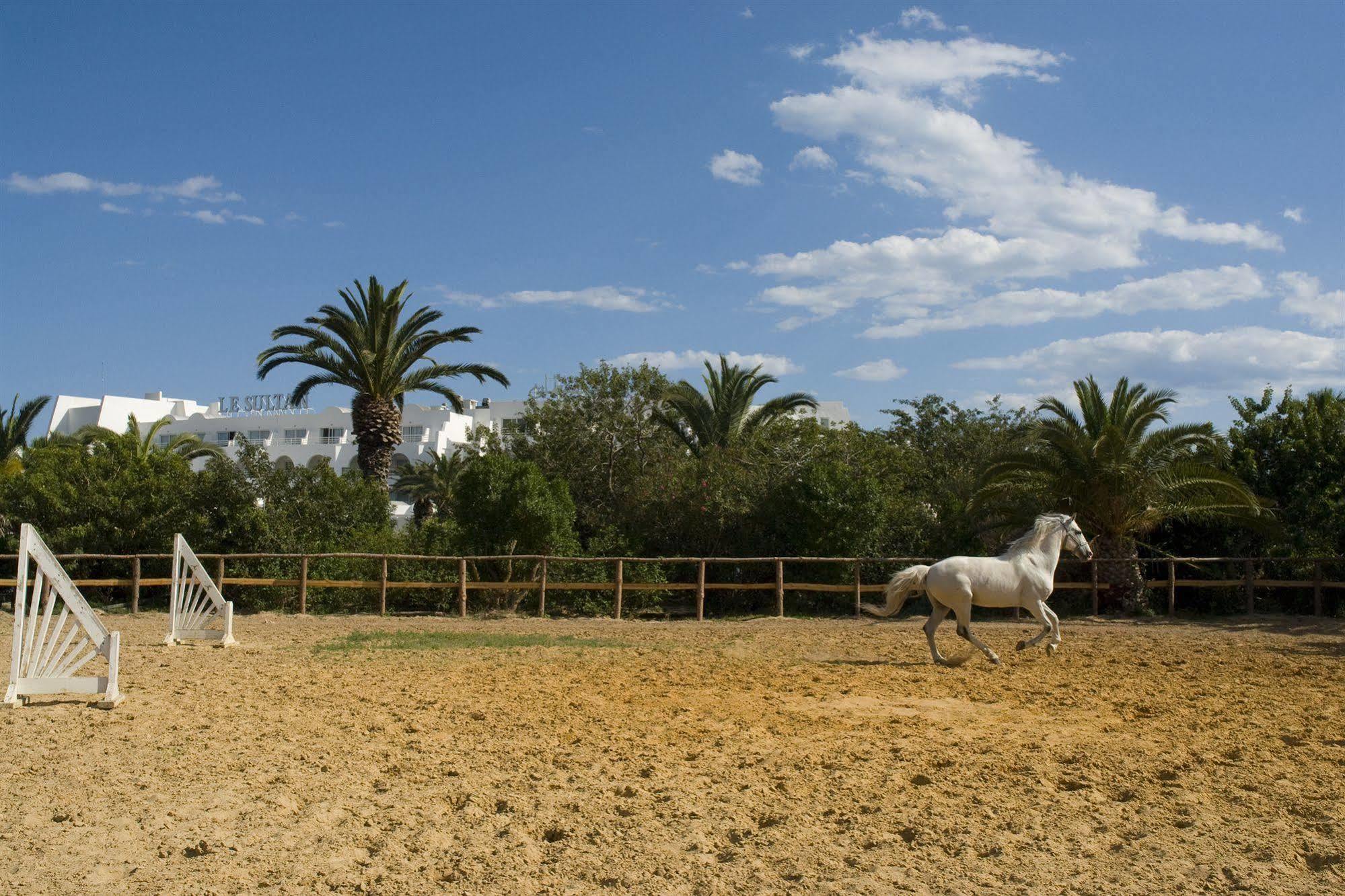 Hotel Le Sultan Hammamet Esterno foto